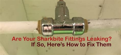 shark bite leaking|How to Fix a Leaking SharkBite Fitting